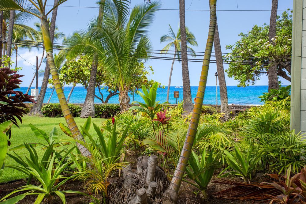 Vacation Condos In Kona Кайлуа-Кона Екстер'єр фото